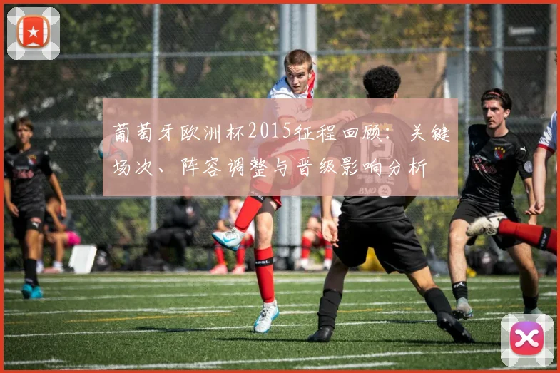 葡萄牙欧洲杯2015征程回顾：关键场次、阵容调整与晋级影响分析