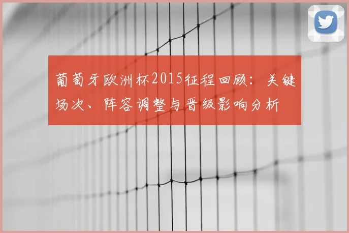 葡萄牙欧洲杯2015征程回顾：关键场次、阵容调整与晋级影响分析