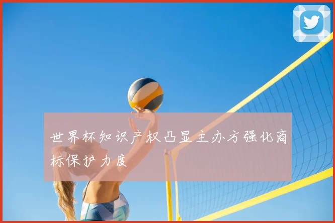世界杯知识产权凸显主办方强化商标保护力度